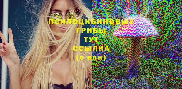 MDMA Заводоуковск