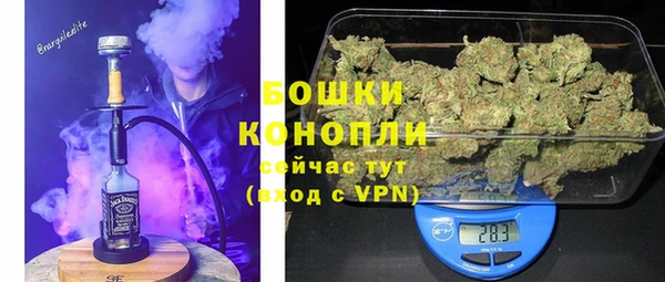 МДПВ Елабуга