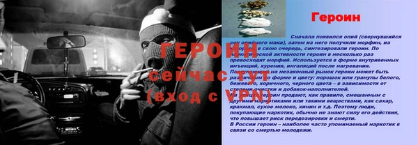 ECSTASY Елизово