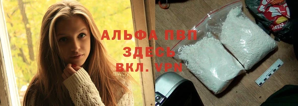 ECSTASY Елизово