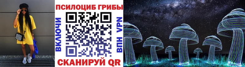 Купить где  Полтавская  Псилоцибиновые грибы Magic Shrooms 